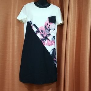 Ellen Tracy size 6 dress NWT